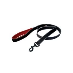 PetSafe Springback Leash