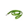 PetSafe 1in X 6ft Nylon Leash Apple