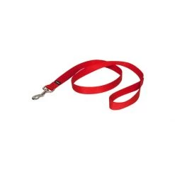 PetSafe 1in X 6ft Nylon Leash Apple -PetSafe Sales Store unnamed file 524