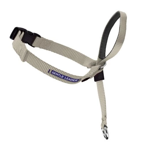 PetSafe Gentle Leader Headcollar Fawn -PetSafe Sales Store unnamed file 53