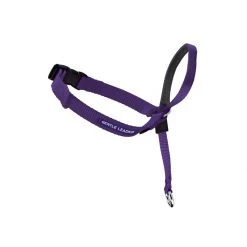 PetSafe Gentle Leader Headcollar Fawn -PetSafe Sales Store unnamed file 55