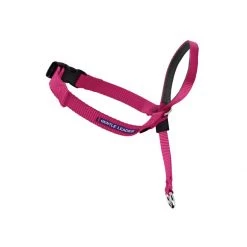 PetSafe Gentle Leader Headcollar Fawn -PetSafe Sales Store unnamed file 56