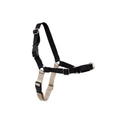 PetSafe Easy Walk Harness Raspberry -PetSafe Sales Store unnamed file 86