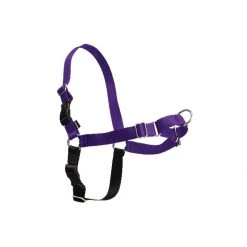 PetSafe Easy Walk Harness Raspberry -PetSafe Sales Store unnamed file 88