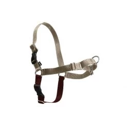 PetSafe Easy Walk Harness Raspberry -PetSafe Sales Store unnamed file 89
