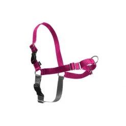 PetSafe Easy Walk Harness Raspberry -PetSafe Sales Store unnamed file 90