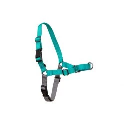 PetSafe Easy Walk Harness Raspberry -PetSafe Sales Store unnamed file 93