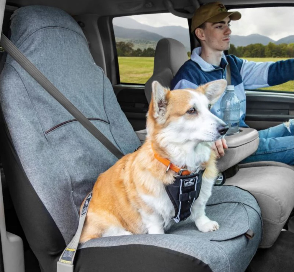 PetSafe Sales Store 40 PetSafe Sales Store -PetSafe Sales Store 111