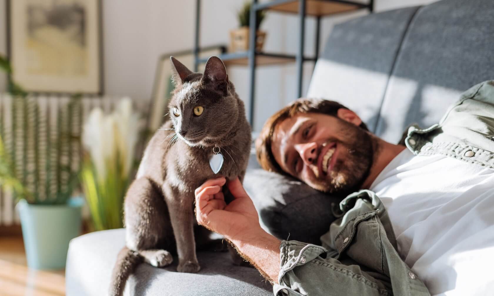 PetSafe Sales Store 9 PetSafe Sales Store -PetSafe Sales Store revolution header